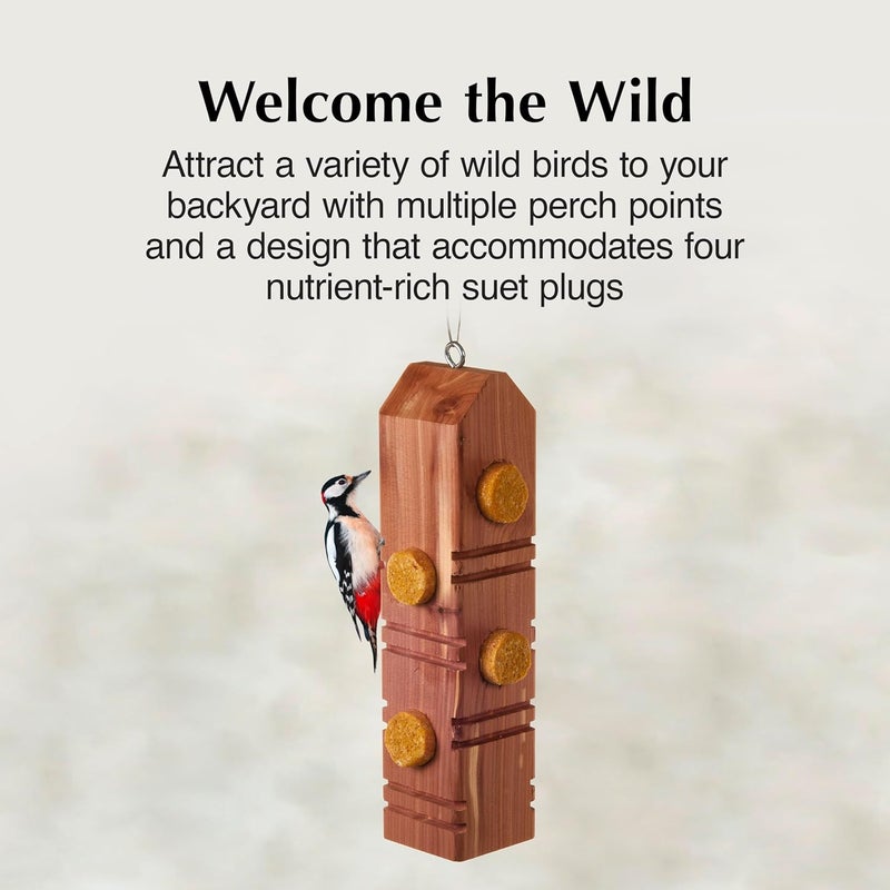 CS Wild Bird Food Suet Plug Wood Feeder - Image 1